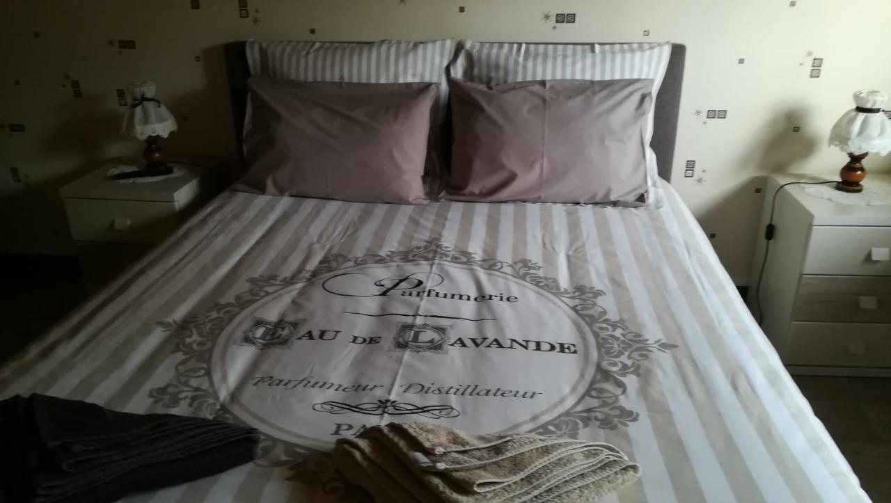 Gite De Bellevue Maison Traditionnelle Vosgienne Plainfaing Eksteriør billede